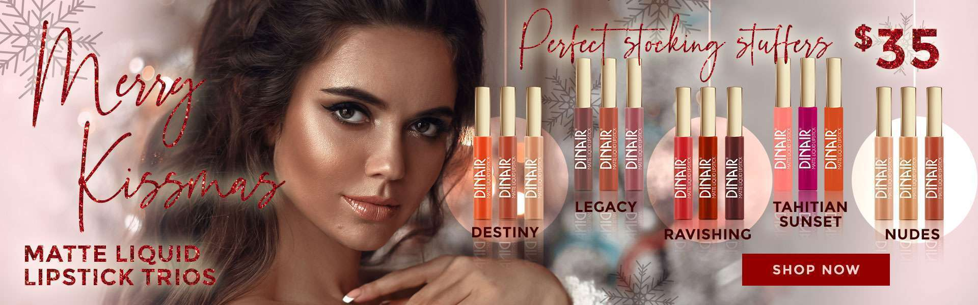 Liquid Lipstick Collection Special